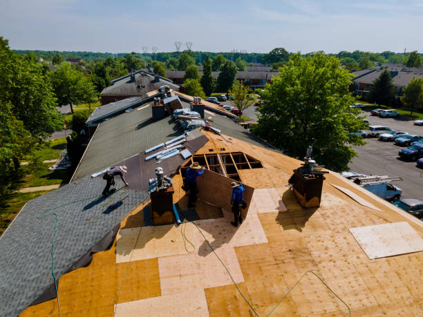 Best Storm Damage Roof Repair  in Frostburg, MD